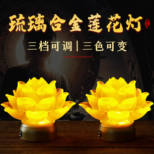 2026�¿�ɏ������늹�����̨ǰ��������������L�������ù����