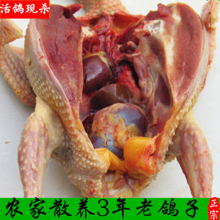 ��������������ɽ�r��ɢ�B���������������s�Zι�B���r�F��������