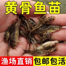 �S���~���S�����~�絭ˮ�Bֳ�S��~���SѾ�^�S���а����~�����l