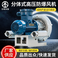 定制FBZ分体式防爆风机防爆式漩涡气泵高压鼓风机BT4/CT4防爆电机