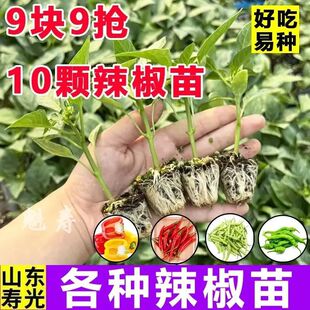 ��������G�l�ش�ţ�ǽ���ǽ����������𽷷����ļ��߲�����]