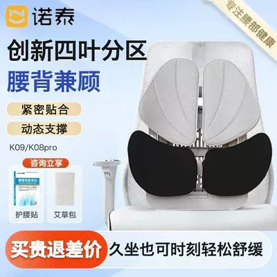 Nortech Lumbar Support Cushion for Long Sitting, Ergonomic Seat Cushion for Office and Car, Lumbar Support Gift (Waist support) - black-and-gray