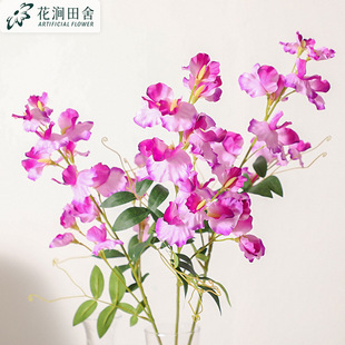 �¿����ٻ�3�涹��֦ ������֧������������c�͏d���û�ˇ���ٻ�