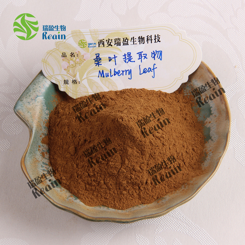 Ruiying Mulberry Leaf Extract 10:1 ratio Mulberry Leaf Powder Mulberry Leaf Flavonoids Mulberry Leaf Extract