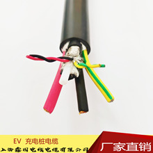 늄���܇��늘���|����Դ��܇EV�����| �Ϻ���|�S��ֱ�N