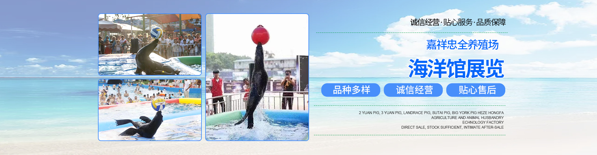 海报