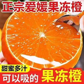传统糕点;西式糕点;酱腌菜