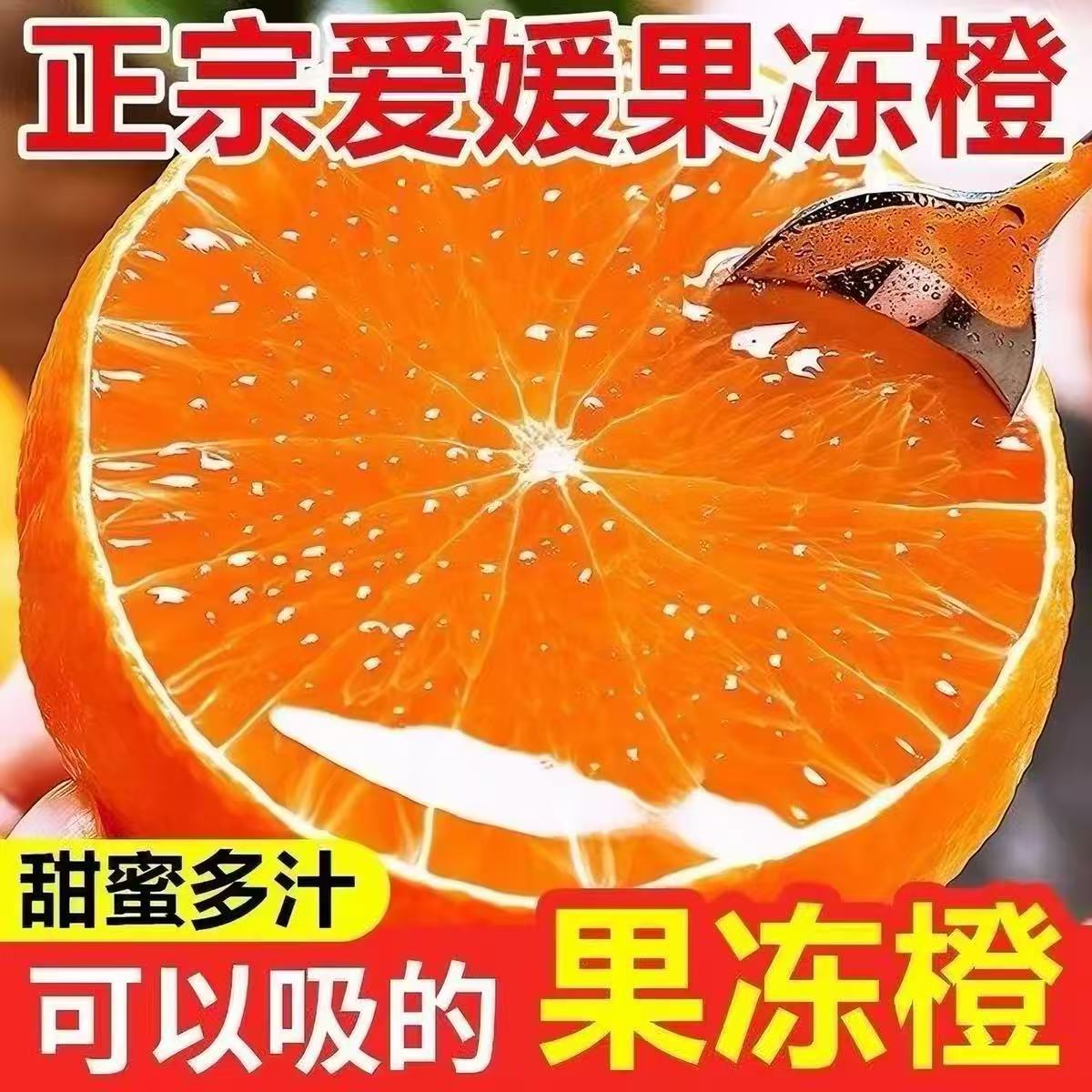 正宗爱媛果冻橙现摘5斤新鲜水果薄皮橙当季橙子产地直发批发代发