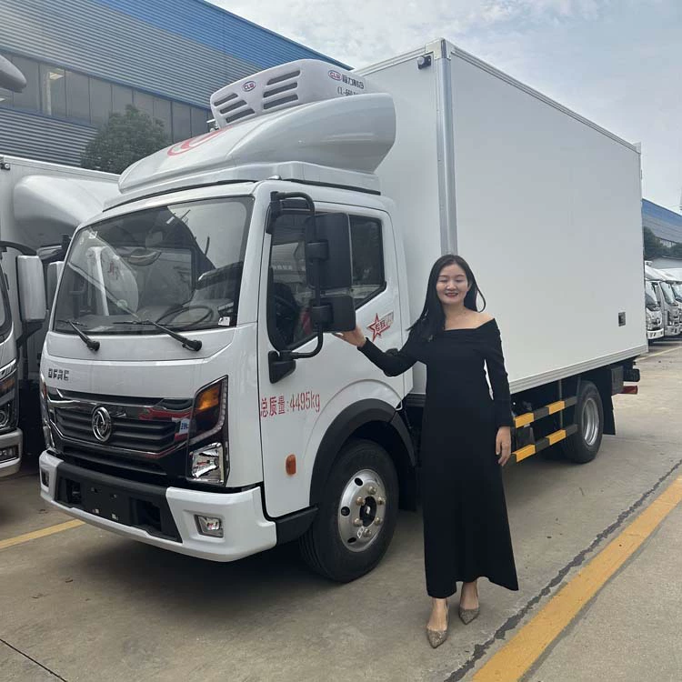 Рефрижератор Dongfeng Furika 2.8 м, рефрижераторный фургон для вакцинации от бешенства, предложение от производителя