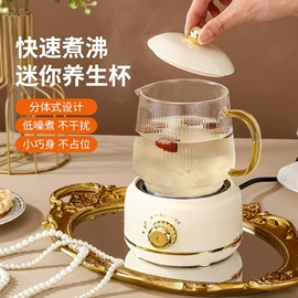 陶瓷杯;电热杯;养生壶