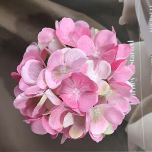 ����33Ƭ�zӡ�����^���������b��������h������ײ廨�����