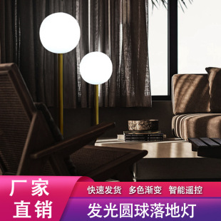 LED落地圆球灯客厅沙发极简ins风卧室床头台灯酒店别墅装饰落地灯-阿里巴巴