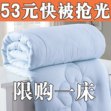 正品纯棉蚕丝被100％桑蚕丝冬被加厚春秋被夏凉被双人被芯特价8斤