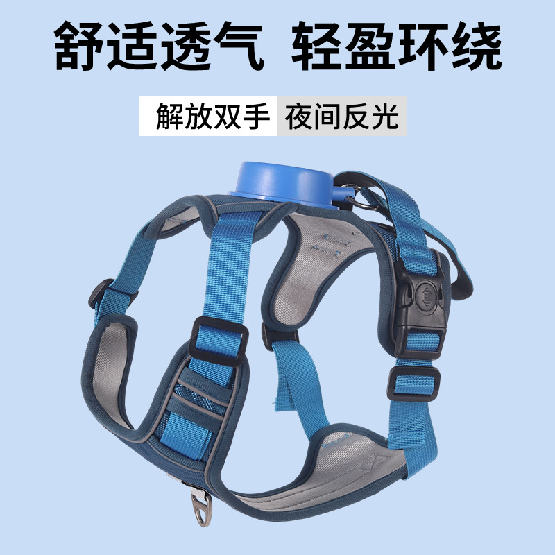 로얄 블루