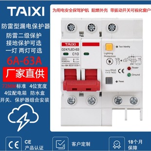 Tessie 110V lightning protection type leakage protector DZ47LED with two lights grounding air switch household circuit breaker