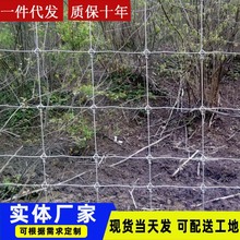 养鹿牛栏网镀锌钢丝编结草原网养牛羊鹿农业养殖打结钢丝围栏网