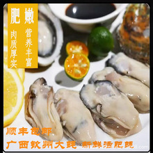 �V���J�����֮�l�r��ĵϠ���r�ش�Ϡ�����؟������rˮ�a