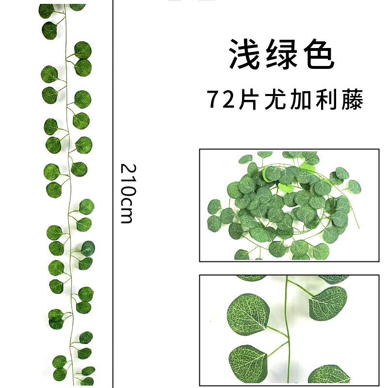 72片浅绿色尤加利藤条-1条