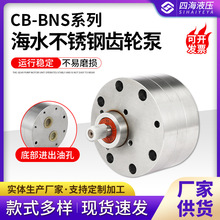 CB-BNS系列海水不锈钢齿轮泵 化工泵 不锈钢齿轮油泵