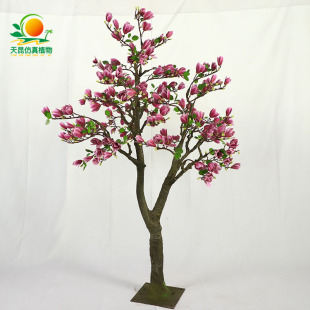 �������m����ľ�޻��҃���Ƶ�ͥԺ�쾰�����m����ֲ��ɲ�����