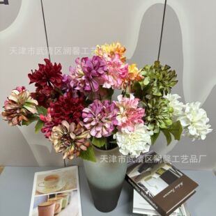 ��ɫϵ3�^�عϻ���c���滨��Y�û��Ų廨�Ƶ�ҾӲ����ٻ��羳
