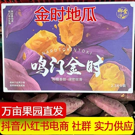 其他水果;柑桔;梨