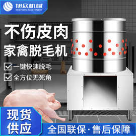 全自动家禽立式脱毛机商用型大容量不锈钢鸡鸭鹅专用市场工厂家禽