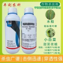 ������5%�װ������S���ر������}�׾S�}���v���~�����ҹ��