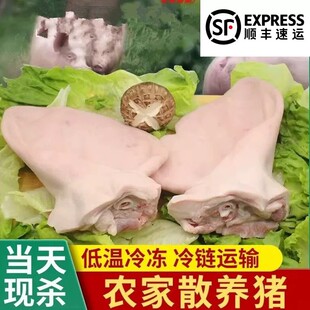 ��S���]���r����i���� �i��Ƭ ���i��ȥë�Ƀ��u�˼�ͥ��m��