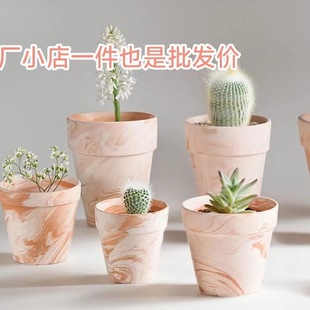 �t�լ������ˮ͸����피t�ﺣ�Ĳ��F����������Gֲ����S��С��