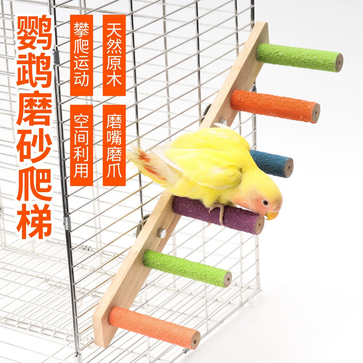 Попугай птица интерактивная лестница для скалолазания игрушка пион качели