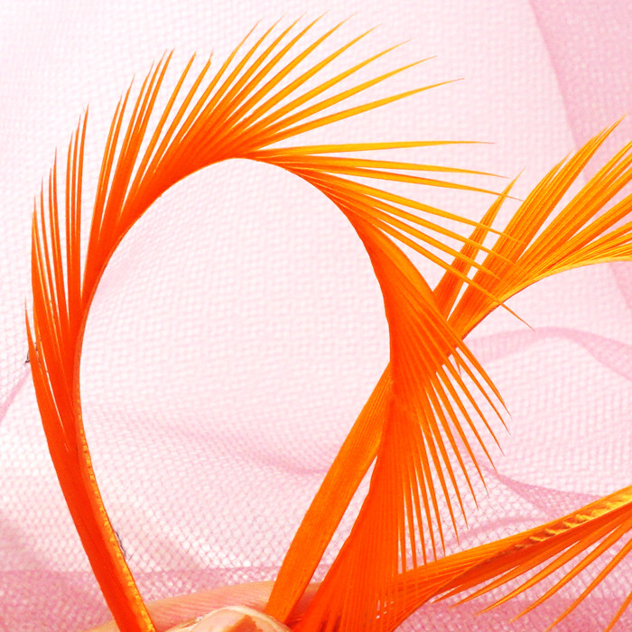 SKU-11-桔色 50只.jpg