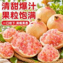 3斤薄皮石榴云南蒙自石榴当季新鲜水果清甜多汁绿籽石榴水晶石榴
