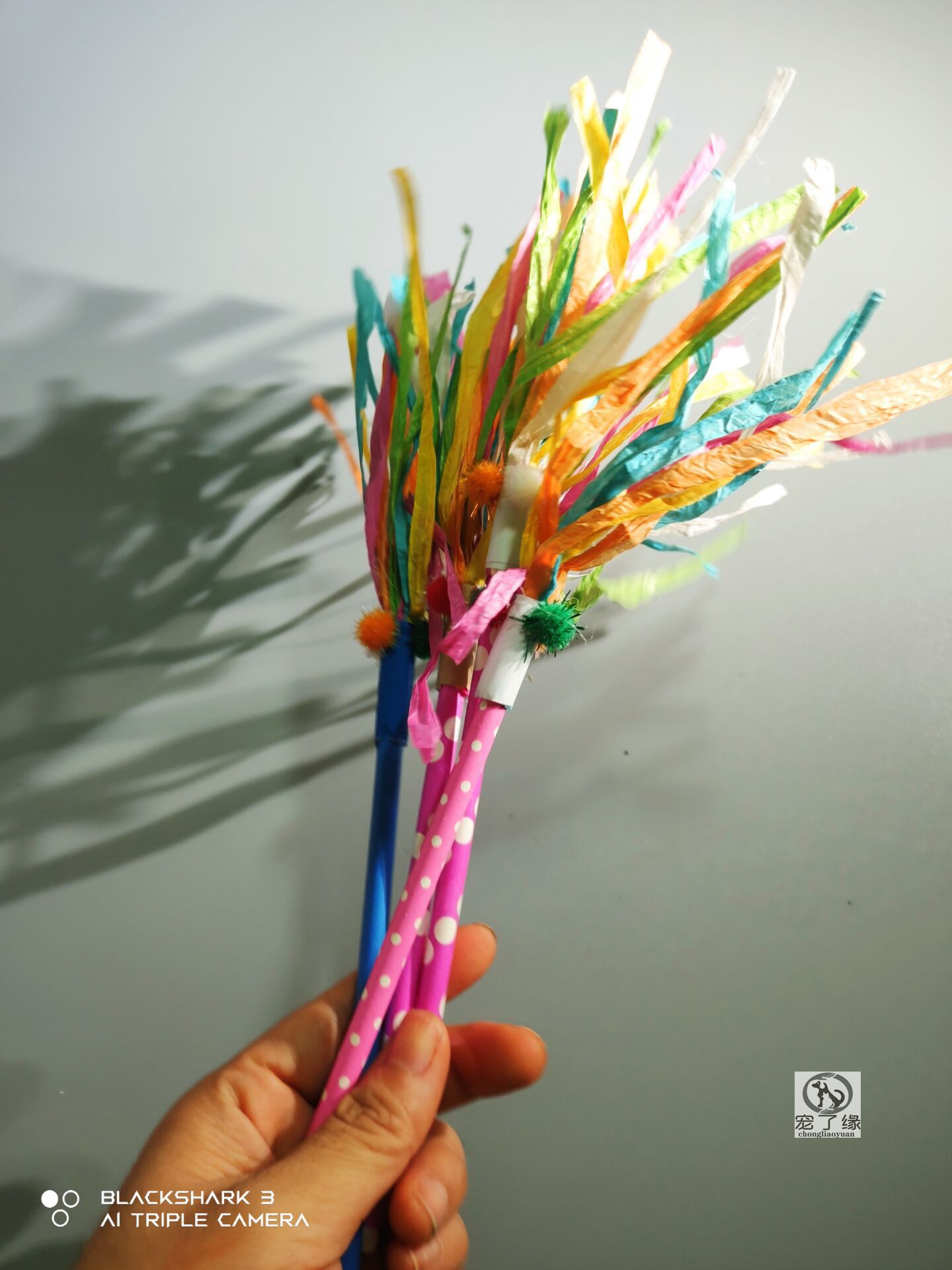 O1CN01EXiSAM1exeOpMNpxi_!!2265