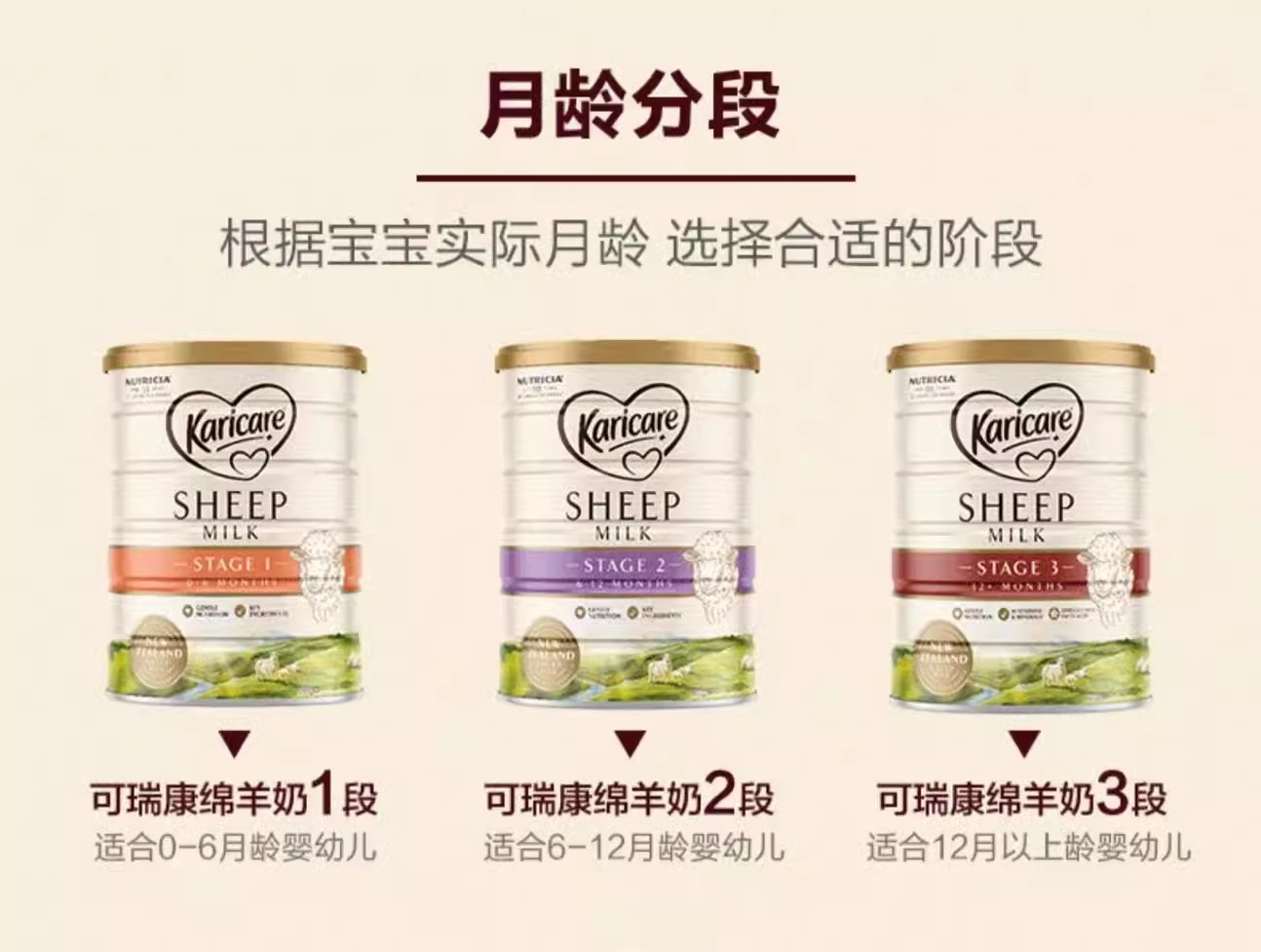 O1CN01vbQfxI1MSomjjE16P_!!1846