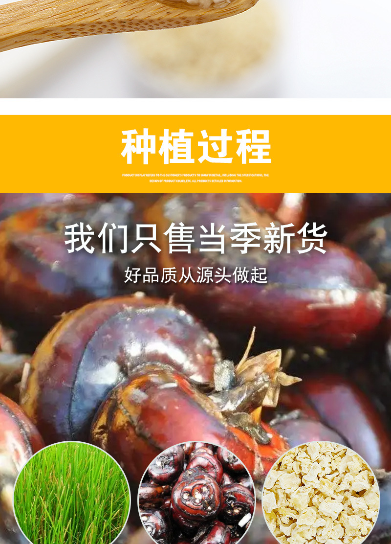 Peeled Dried Water Chestnut Dice (Eleocharis dulcis) — Ma Ti Diced for Tea & Soup in use