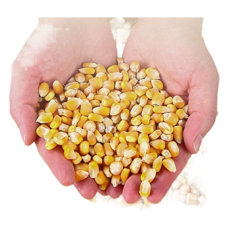 Электрический кукурузный молотилка для домашнего использования небольшой автоматический автомат артефакт