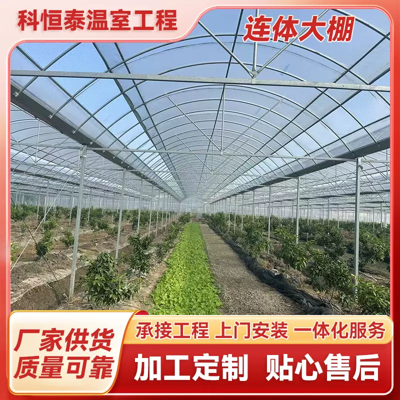 连体大棚观光栽培大棚骨架外遮阳保温整棚设计一站式厂家 暖棚