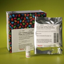Thermo|Pierce 78425 Halt����ø���Ƽ�cocktail ��EDTA-Free��