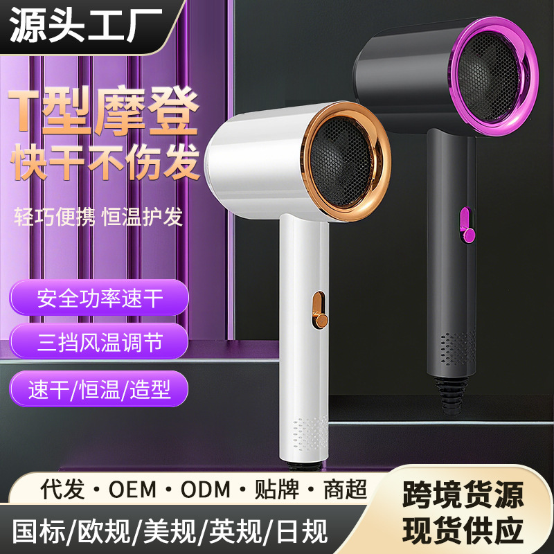 Cross-Border Household Hair Dryer Blue Light Constant Temperature Hair Care Intelligent Noise Reduction Student Dormitory High-Power Quick-Drying Hair Dryer