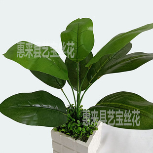 9�^����~  �^�z�ָ��~ �G�}�~ �����~ ����Gɫֲ����