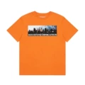 3198 orange