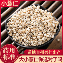 С޲��ș���F���d�ʟo����؛С���s�Z޲���ʳ�С���͌�����ɽș