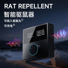 2025¿s҃ڿƼ羳l