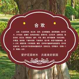 花草树木介绍牌木质植物铭牌挂牌标识牌植物简介牌树牌警示牌金属