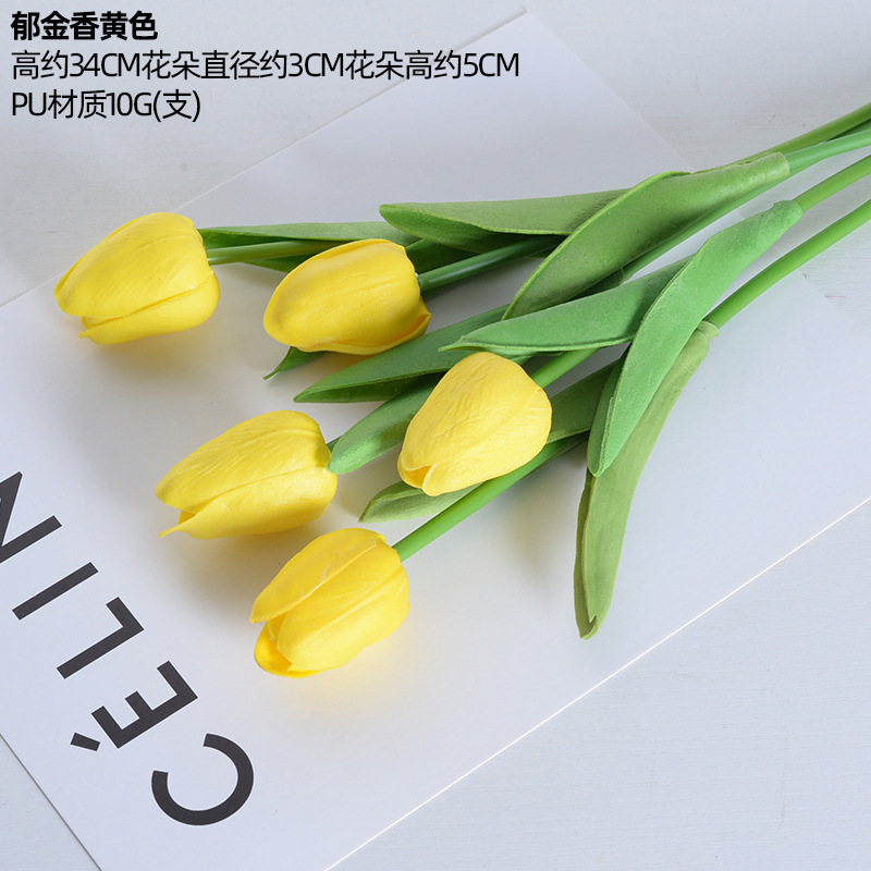 Pu tulipán amarillo