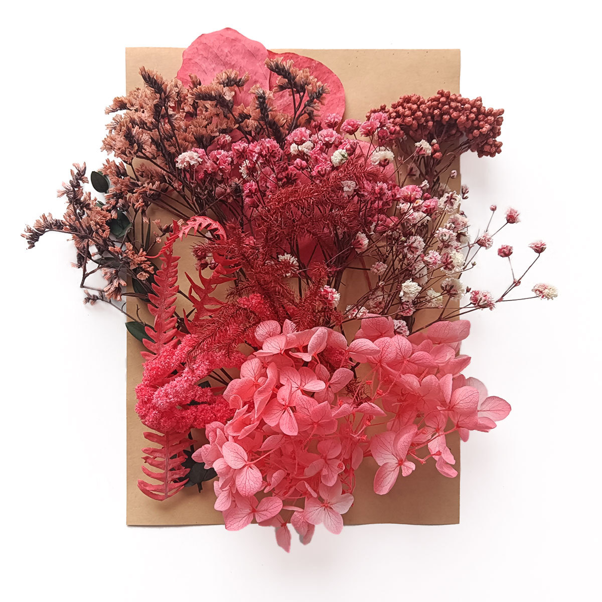 Flor seca flor eterna marco de fotos en relieve paquete de material combinación paquete de flores aromaterapia ventilador A5 bolsa de fábrica al por mayor transfronteriza