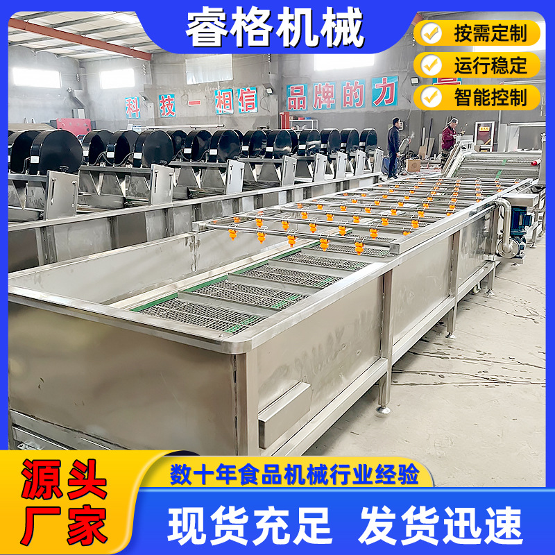 全自动白菜辣椒气泡式洗菜机 山楂喷淋清洗机 果蔬清洗流水线