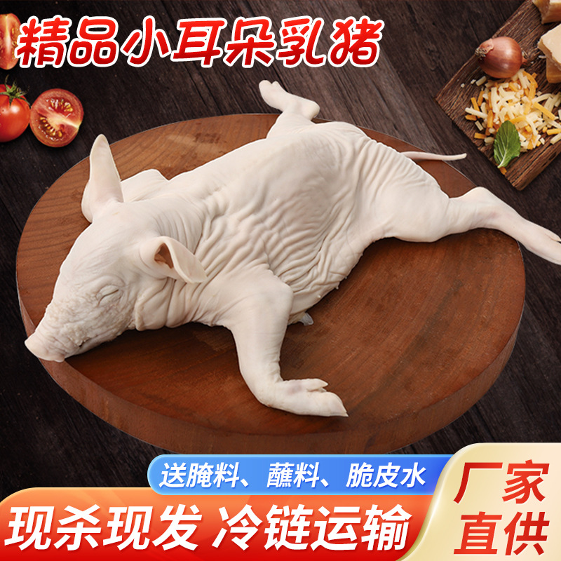 【抖音代发】冻乳猪冷冻生猪冰鲜小乳猪整只小香猪烧烤饭店商用