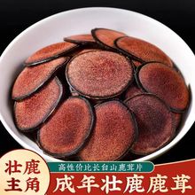 ����¹��Ƭ���ٷ���Ş����ș��һ��÷��¹¹��ѪƬ���r�ݲ��ݾ���